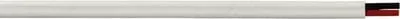 10/2 WHT TIN DUPLX WIRE 100FT