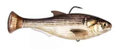 Z-Man Shadtron LT Swimbait – 6in – Slow Sinking – Gizzard Shad